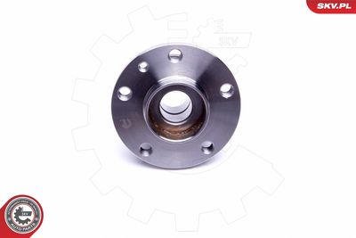 Wheel Bearing Kit 29SKV301