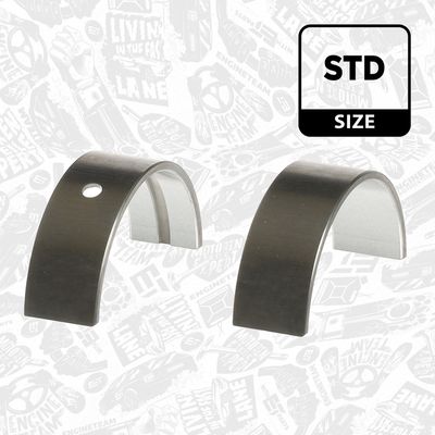 SET RULEMT ARBORE COTIT ET ENGINETEAM LH005300 1