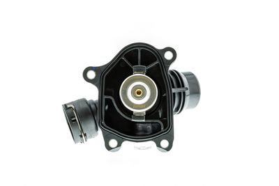 TERMOSTAT LICHID RACIRE