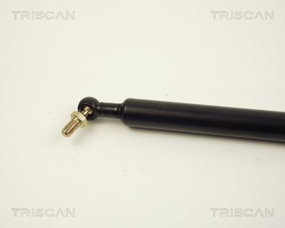 AMORTIZOR PORTBAGAJ KAWE 871013207 1