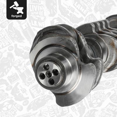 ARBORE COTIT ET ENGINETEAM HK0212 5