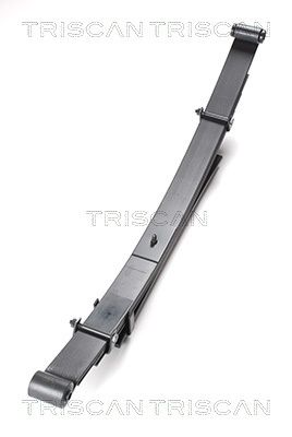 TRISCAN Federnpaket