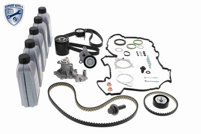 SET CUREA DE DISTRIBUTIE VAICO V253148 8