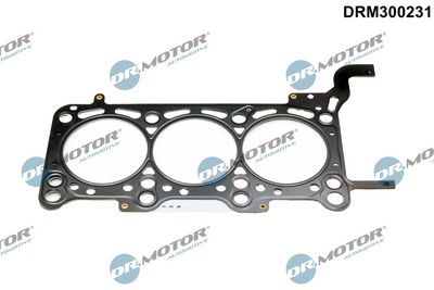 GARNITURA CHIULASA Dr.Motor Automotive DRM300231