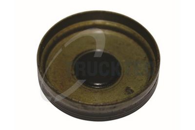 CAPAC CONECTOR BOLT PRINCIPAL