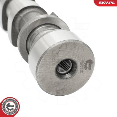 Vačkový hřídel ESEN SKV 80SKV046