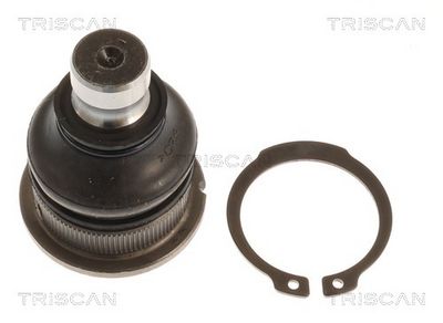 Шарнири TRISCAN 8500 255024