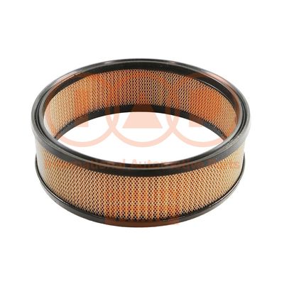 Воздушный фильтр IAP QUALITY PARTS 121-19010 для ASIA MOTORS ROCSTA