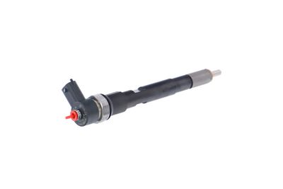 INJECTOR REMANTE 002003000145R 34
