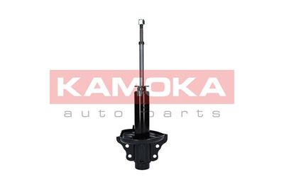 Shock Absorber 2000640