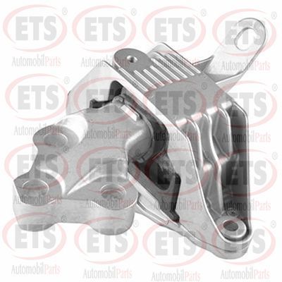 окачване, двигател ETS 11.EM.250