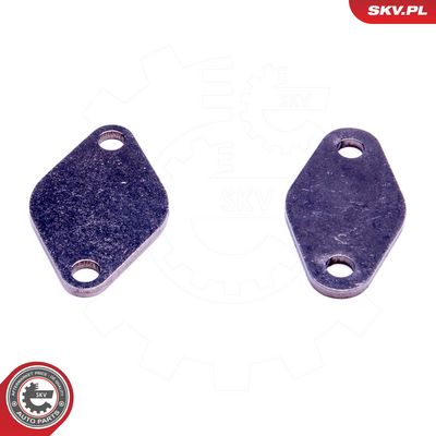 Remonto komplektas, AGR vožtuvas