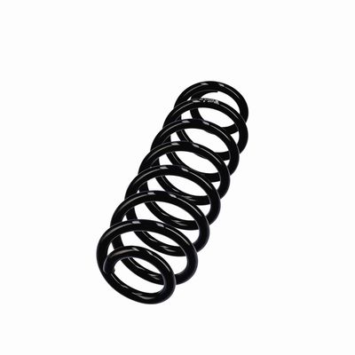 ARC SPIRAL EIBACH R21213 14