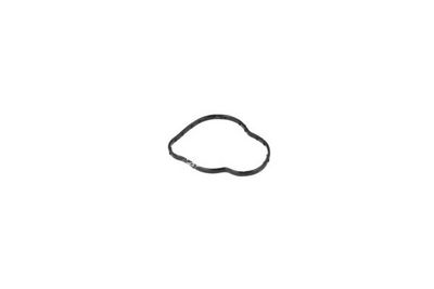 TERMOSTAT LICHID RACIRE NRF 725078 5