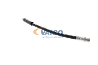 FURTUN FRANA VAICO V250900 41