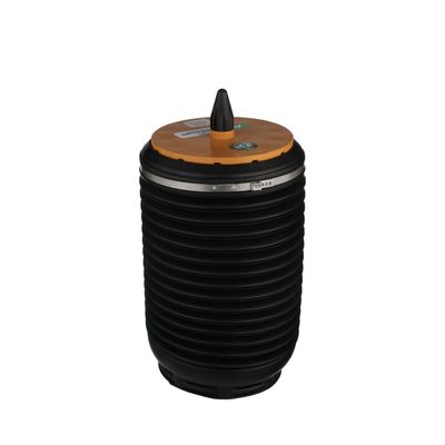 LUFTFEDER FAHRWERK Arnott A3891 38