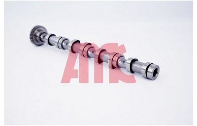 NOCKENWELLE AMC 647290 2