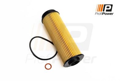 alyvos filtras 1F0161 ProfiPower