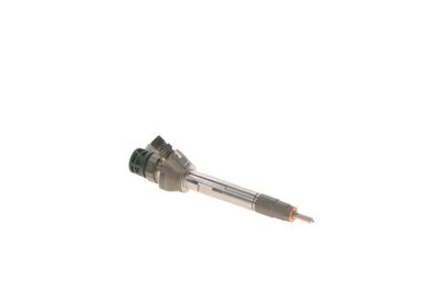 INJECTOR BOSCH 0445110613 18