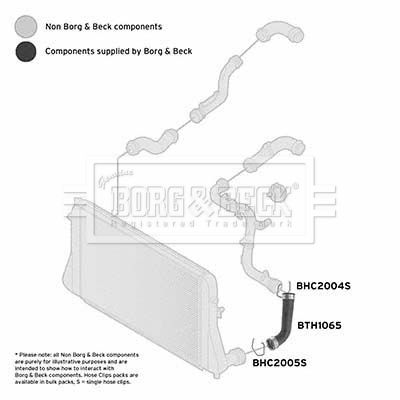 Charge Air Hose Borg & Beck BTH1065