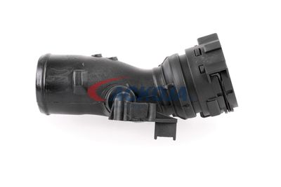 FURTUN EAR SUPRAALIMENTARE ACKOJA A380296 36