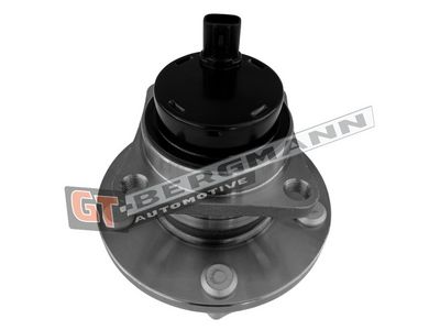 GT-BERGMANN Automotive Rato guolio komplektas