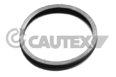 CAUTEX Pakking, thermostaat (954208)