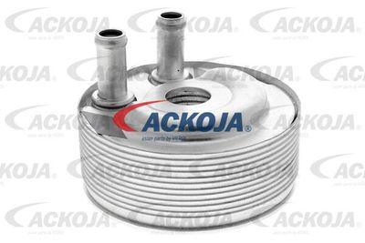 масляный радиатор, двигательное масло ACKOJA A38-60-0006 для NISSAN NAVARA