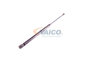 GASFEDER KOFFER-/LADERAUM VAICO V250232 53