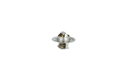 TERMOSTAT LICHID RACIRE NRF 725016 13
