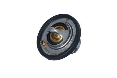TERMOSTAT LICHID RACIRE NRF 725182 11