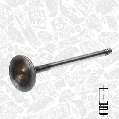 SUPAPA ADMISIE ET ENGINETEAM VI0147 1