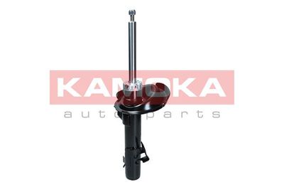 Shock Absorber 2000331