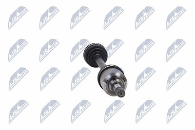 PLANETARA NTY NPWCT008 33