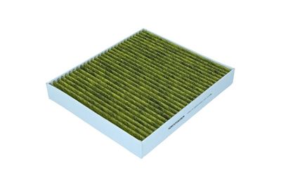 FILTRU AER HABITACLU