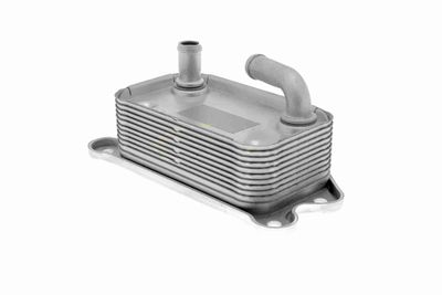 RADIATOR ULEI ULEI MOTOR VEMO V95600006 6
