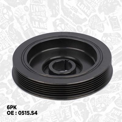 FULIE CUREA ARBORE COTIT ET ENGINETEAM PC0003 1