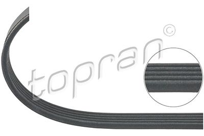 TOPRAN 304 618 Ремень генератора для FORD FOCUS II седан (DB_, FCH, DH)