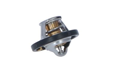 TERMOSTAT LICHID RACIRE NRF 725187 14