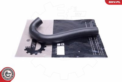 FURTUN EAR SUPRAALIMENTARE