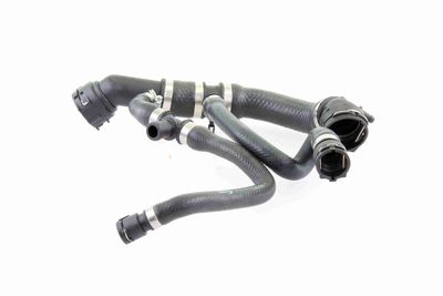 KüHLERSCHLAUCH VAICO V201669 1