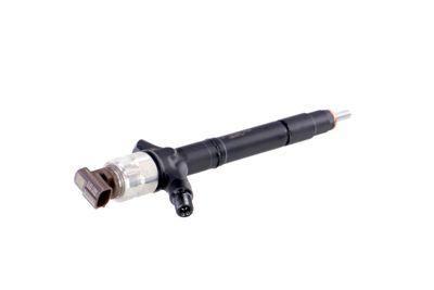 INJECTOR REMANTE 002003002041R 34