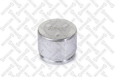 STELLOX 04-98306-SX Поршень, корпус скобы тормоза 