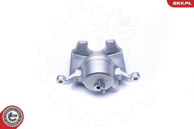 Brake Caliper 42SKV202