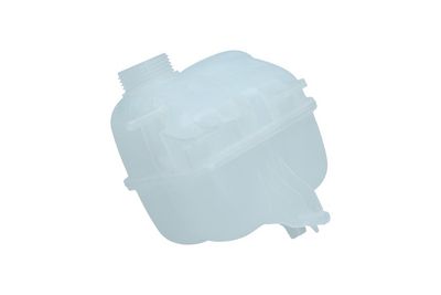 VAS DE EXPANSIUNE RACIRE