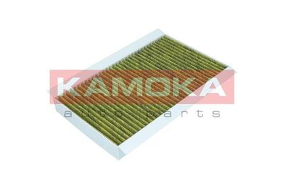 Filter, cabin air 6080094