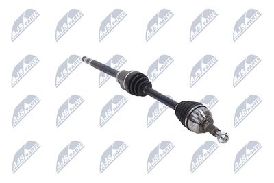 PLANETARA NTY NPWPE053 12