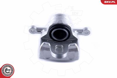 Brake Caliper 55SKV374