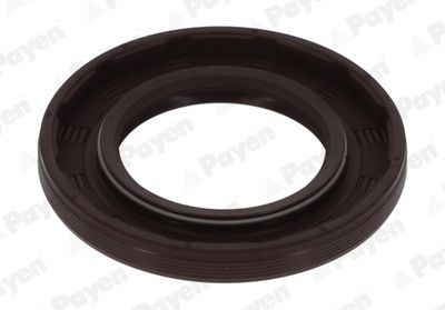 WELLENDICHTRING NOCKENWELLE