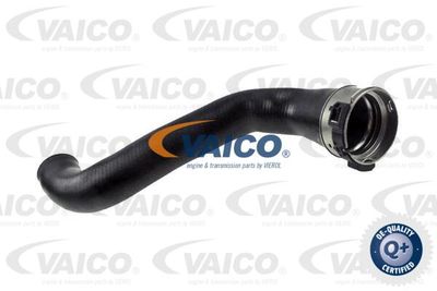 Трубка нагнетаемого воздуха VAICO V48-0187 для LAND ROVER RANGE ROVER